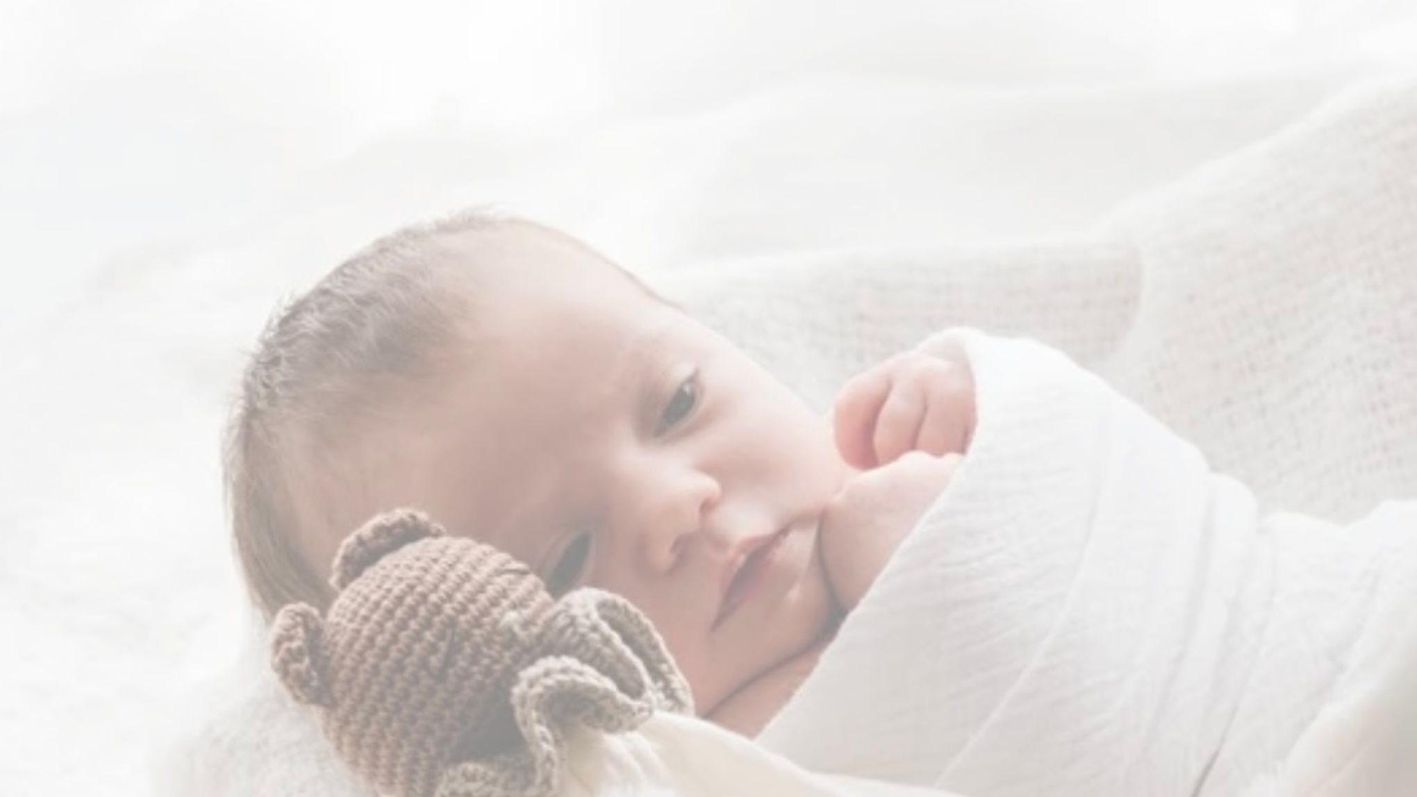 Broderie de l’ourson